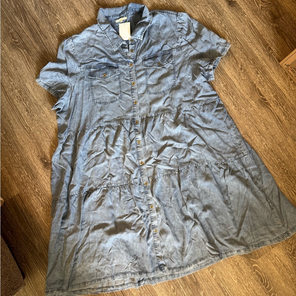 Denim Button-Up Dress